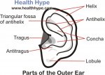 ear_diagram.jpg