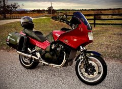 IMG_2039.jpeg