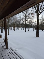 20260125_084116.jpg