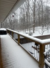 IMG_1649.jpeg