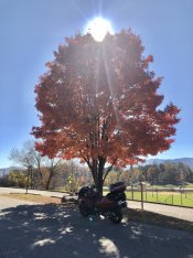 IMG_0617.jpeg