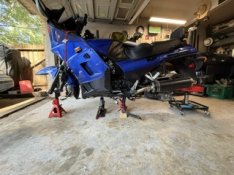 IMG_7423.jpeg IMG_7423.jpeg