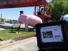 37-0 Pinky the Elephant IA.JPG