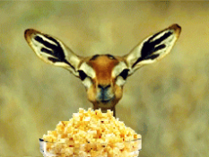 1781267929188.png 1781267929188.png